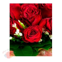 Пакет КАРТОН-БОЛЬШОЙ Бархатные розы, 32*40 см