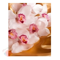Пакет КАРТОН-БОЛЬШОЙ Орхидея на золоте, 32*40 см