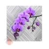 Сумочка КАРТОН СРЕДНЯЯ Изящная орхидея 25*25 см